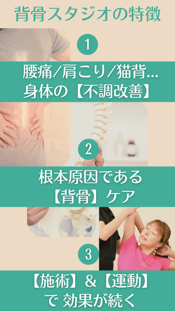 背骨スタジオの特徴 １：腰痛・肩こり・猫背など身体の不調改善 ２：根本原因である背骨ケア ３：施術と運動で効果が続く
